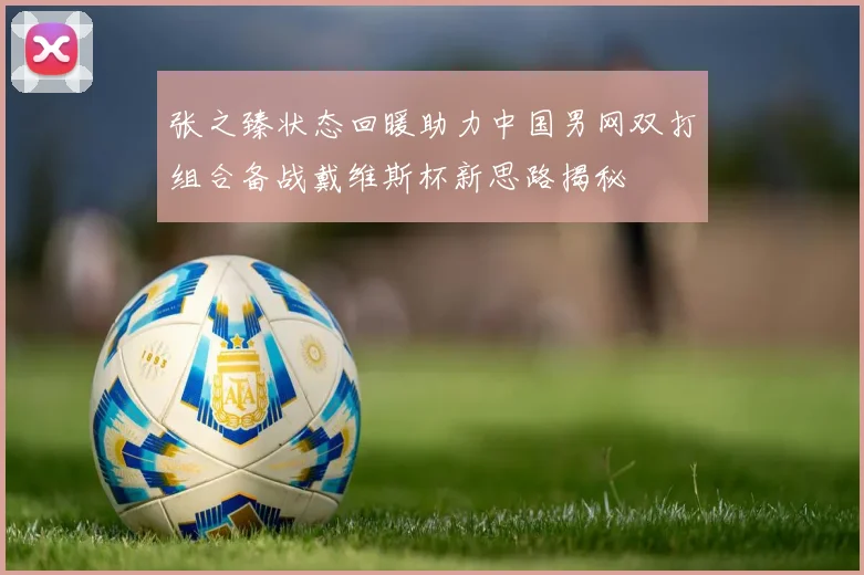 张之臻状态回暖助力中国男网双打组合备战戴维斯杯新思路揭秘