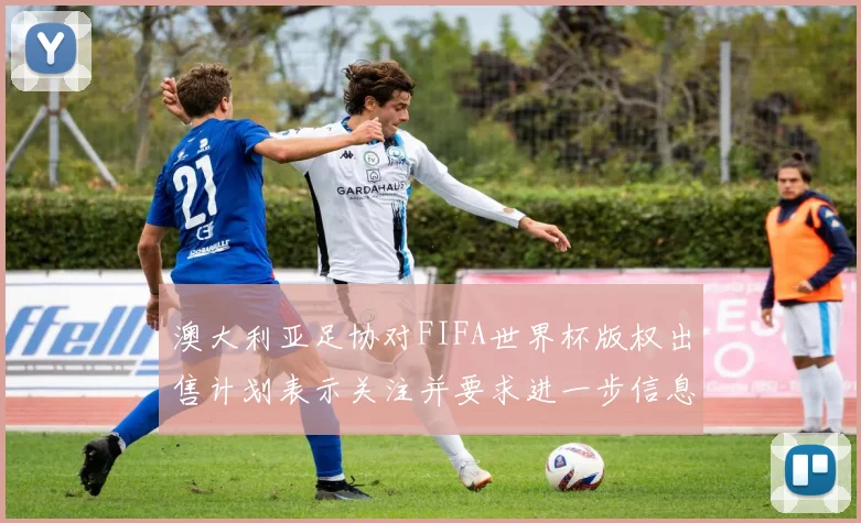 澳大利亚足协对FIFA世界杯版权出售计划表示关注并要求进一步信息